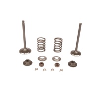 Набор 2-х клапанов в сборе TC138L/TS138L