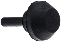 00000002894; 00000001276.Jpg