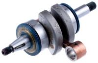 00000005895; 00000003492.Jpeg