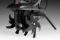 00000009679; 00000004806.jpg