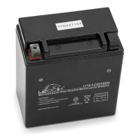 00000008898; 00000005556.Jpeg