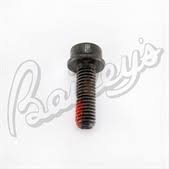 00000003852; 00000003896.jpg