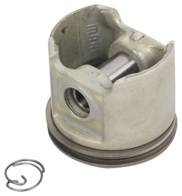 00000007356; 00000006762.jpg