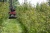 S536026043314_10.jpeg S536026043314_10.jpeg