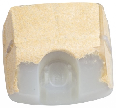 00000005837; 00000006595.jpg