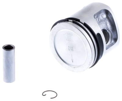 00000008253; 00000005389.Jpeg