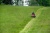 S536026043301_8.jpeg S536026043301_8.jpeg